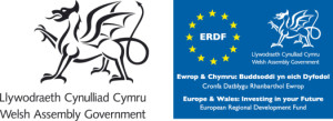 Welsh Assembly Logo_Europe & Wales